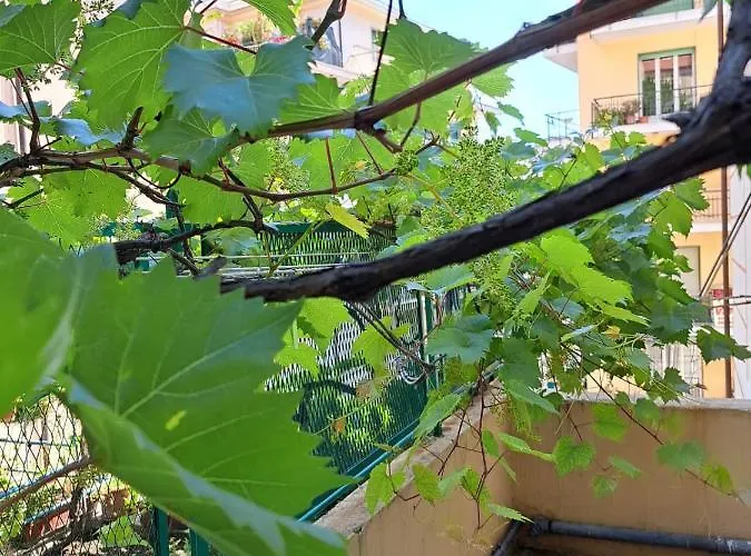 شقة La Casa Di Marina *